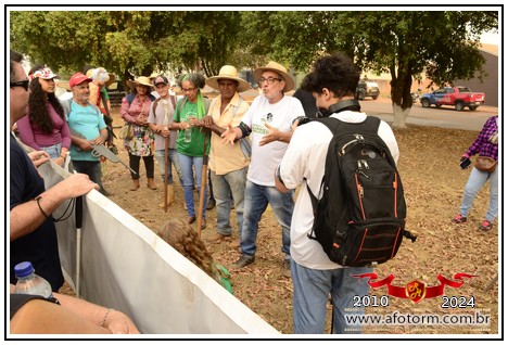 rolim de moura